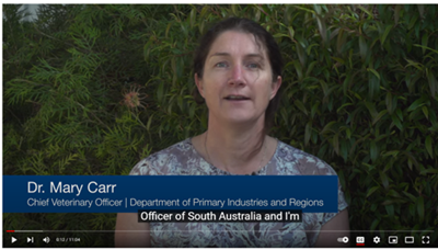 Enhanced-Abattoir-Surveillance-–-pleurisy-and-pneumonia_video-screen-shot.png